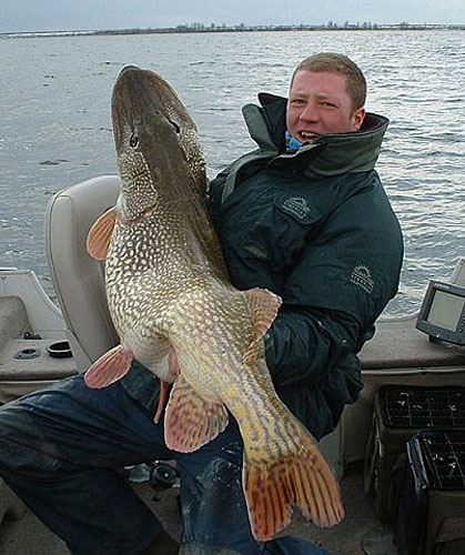 Огромная щука поймана на Онежском озере