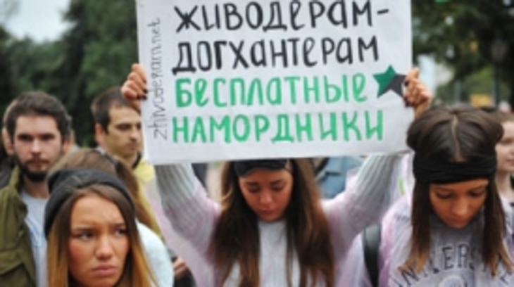 В России набирает силу движение догхантеров - фото