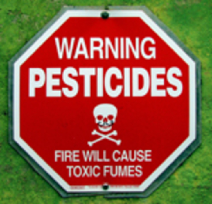 Пестициды внедряются в продукты питания - фото