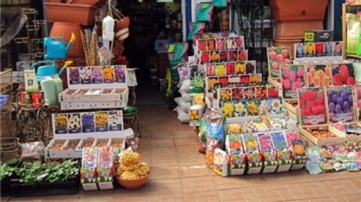  Полагаться ли на советы продавцов при покупке семян? - фото