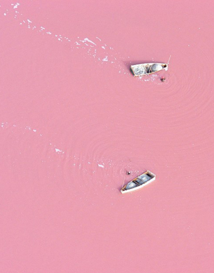 Розовое озеро - фото