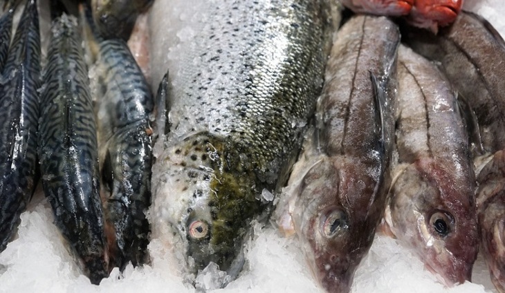 В супермаркетах США и Европы продается ядовитая рыба - фото