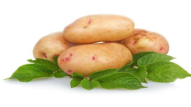 Картошка: фокусы вкуса - фото