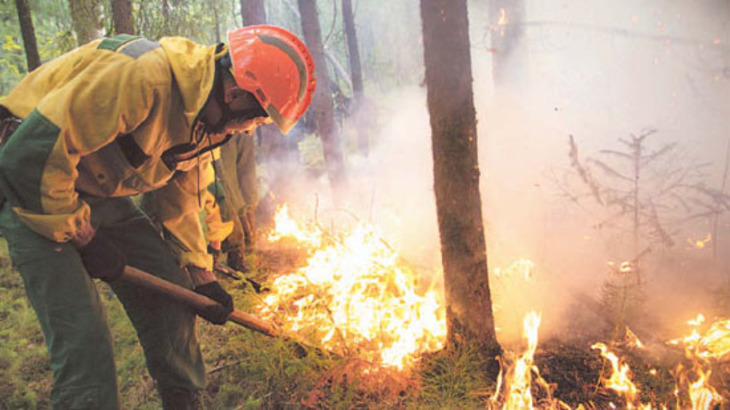 Иркутская область стала абсолютным лидером в России по количеству лесных пожаров - фото