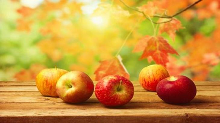 Яблочки осенние: и для еды, и для хранения - фото