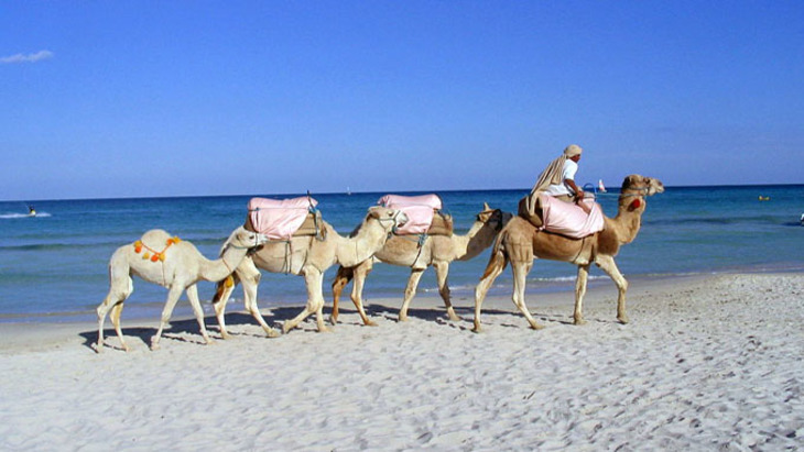 Тунис готов принимать 10 миллионов иностранных туристов в год - фото