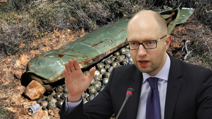 Украинский премьер отрицает факты использования запрещенного оружия - фото