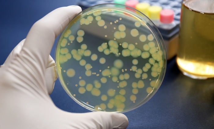 Найдены бактерии, обезвреживающие радиоактивные отходы - фото