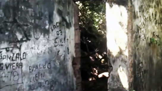В аргентинских джунглях нашли нацистское «гнездо»