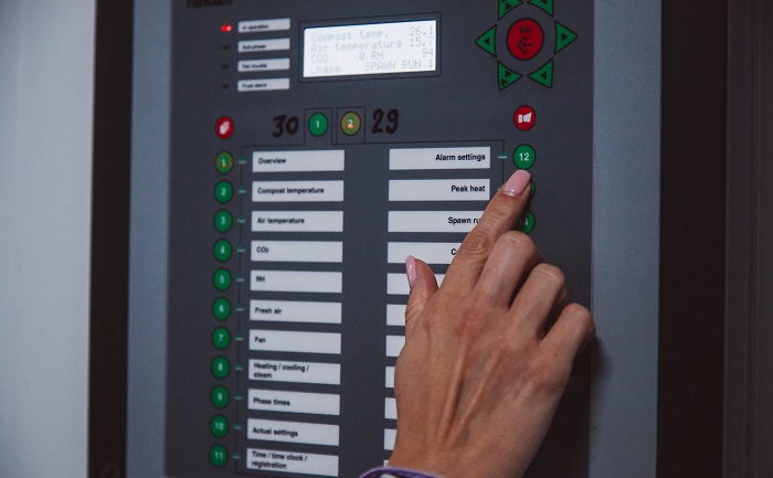 «Грибная радуга» Александра Удодова отчиталась по итогам 2020 года