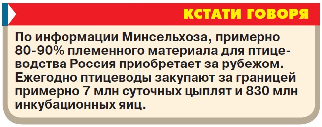 Переполох в курятнике: цены на мясо курицы бьют исторические рекорды