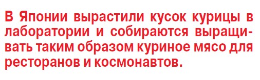 Вкус виртуальной еды и экскременты слона на десерт