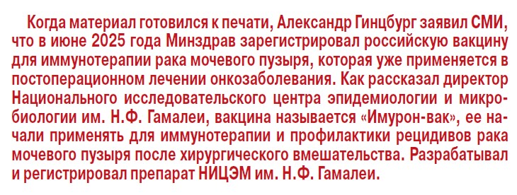 Академик Гинцбург: «У каждого человека будет персональная вакцина»