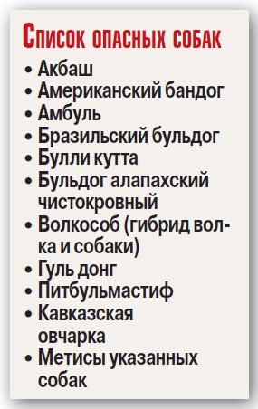 Выгуливать опасного пса позволят не каждому