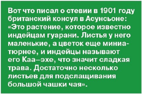 Стевия: медовая трава
