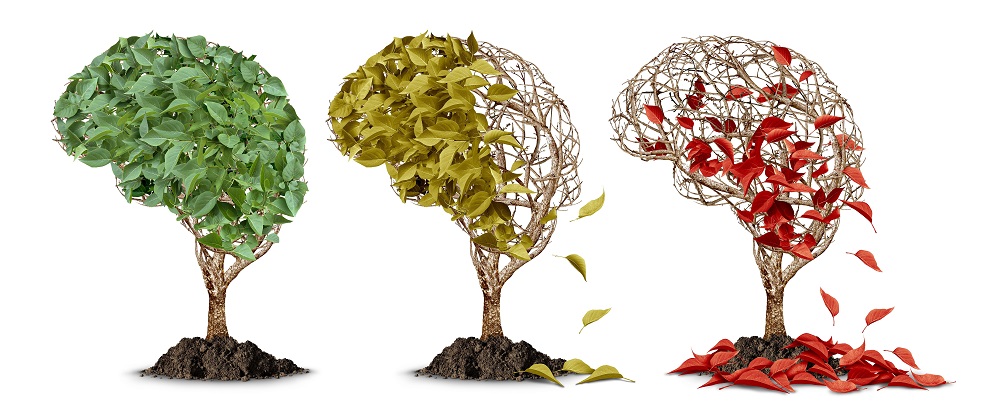 Ковид и деменция - горькая парочка