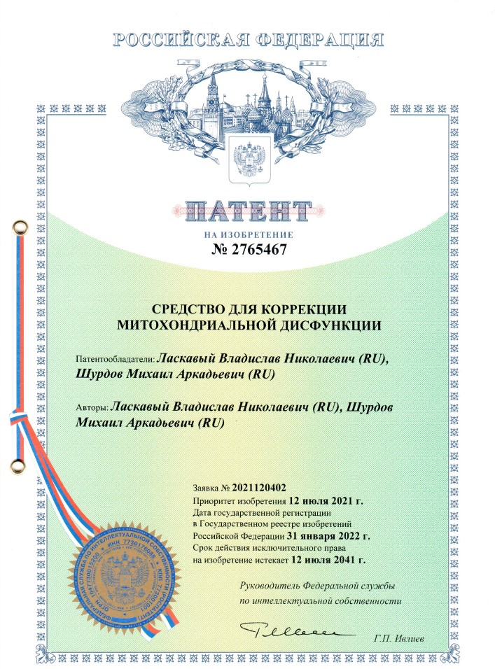 Митохондрия – энергия для жизни