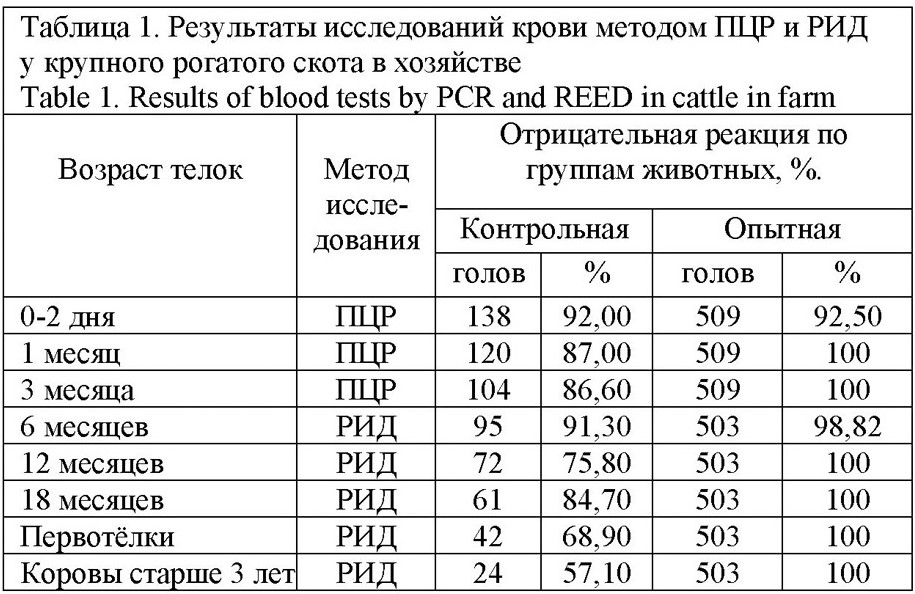 Вакцина против лейкоза крупного рогатого скота показала свою эффективность