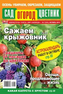 «Сад. Огород. Цветник» № 7 (191) 2019 г. - фото