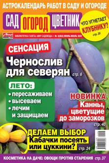«Сад. Огород. Цветник» № 3 (203) 2021 г. - фото
