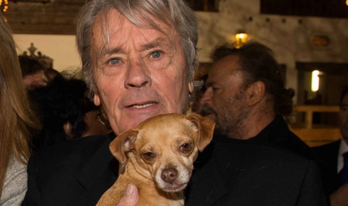 Ален Делон завещал похоронить себя на кладбище для собак — Мир новостей