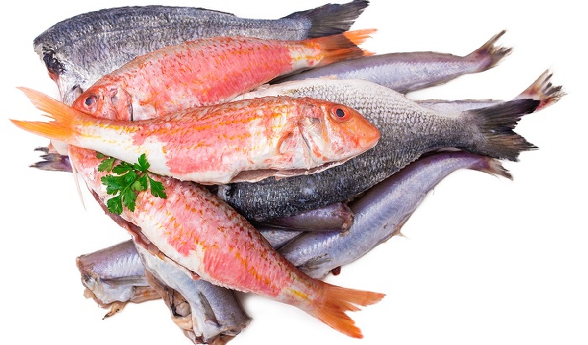 Интересные факты о наваге: жирная рыба или нет?