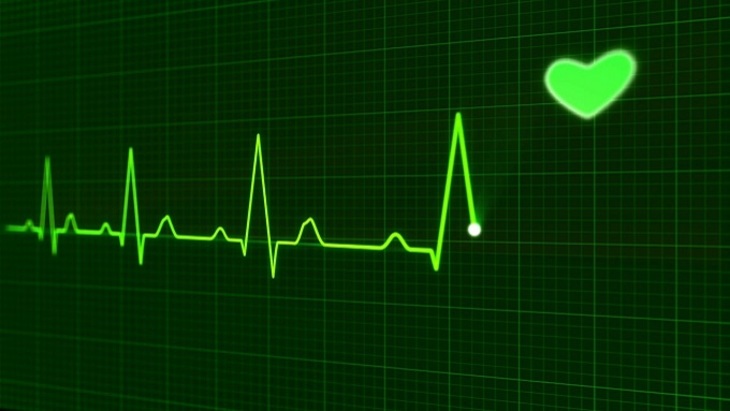 Новосибирские ученые разработали «дешевое» искусственное сердце - фото