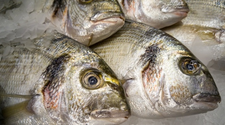 В Китае из продажи изъяли отравленную рыбу - фото