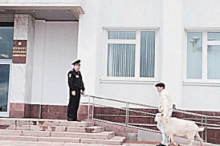 Жителя Уфы задержали за попытку подарить козла чиновнику - фото