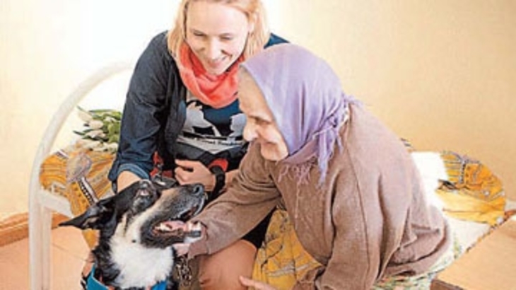 Собаки-терапевты навещают больных, детей и стариков - фото
