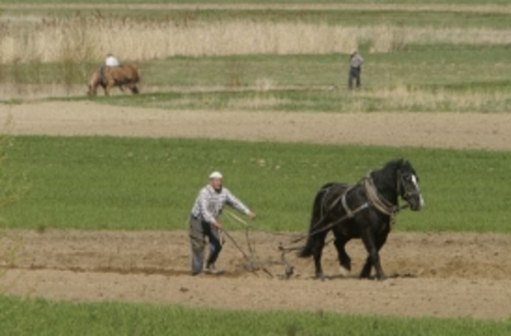 Российские черноземы признали неблагоприятными для сельского хозяйства - фото