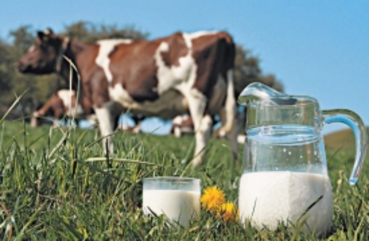 Молочные продукты подорожают на 10-13% к концу года - фото