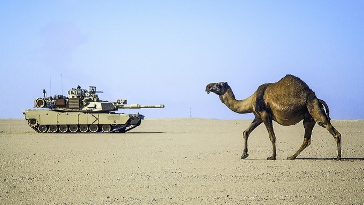 Cаудовская Аравия покупает армию США - фото