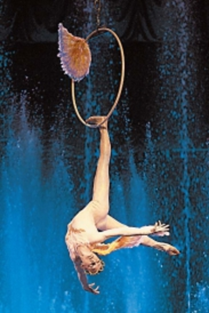 «Аквамарин» представит самое большое цирковое шоу в Москве - фото