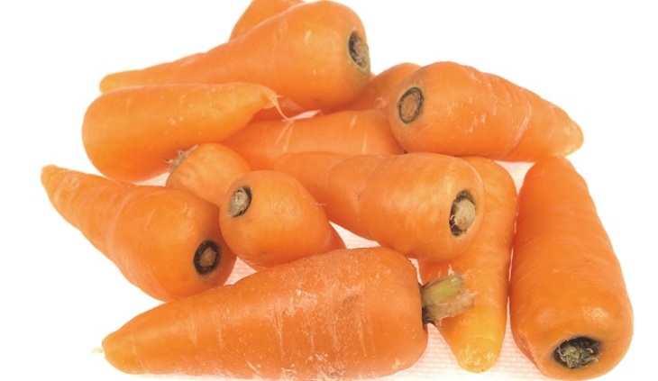 Детская морковка - фото