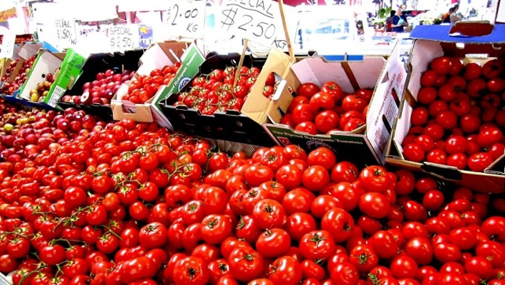 Турция пристроила помидоры, а Россия готова сама экспортировать томаты - фото