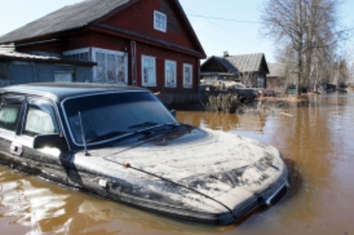 Власти Приморья скрывают истинные причины наводнения - фото