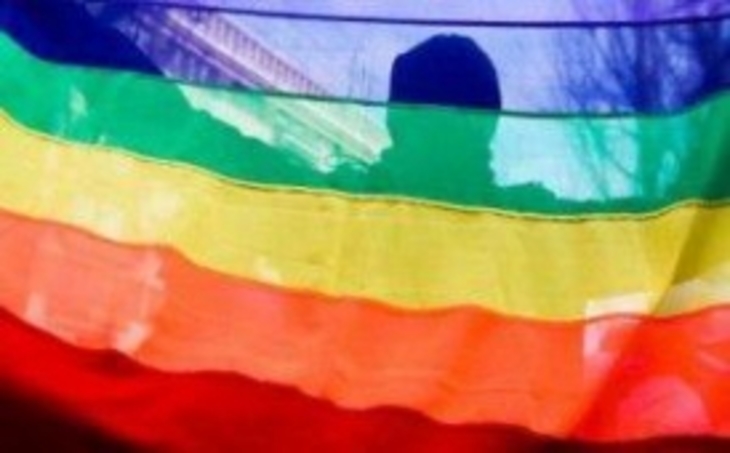 На футбольном стадионе в Германии вывесили радужный флаг в поддержку геев - фото