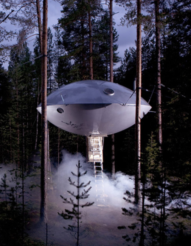 НЛО в лесах Швеции - фото