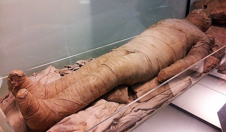 В больнице Петербурга обследовали мумию - фото