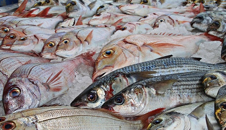 Рыбой по санкциям: Россия становится крупнейшим поставщиком морепродуктов - фото