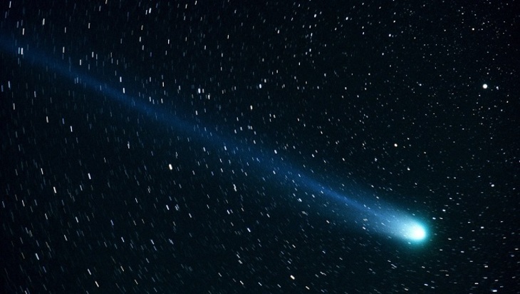 Астрономы обнаружили «разумную» комету - фото