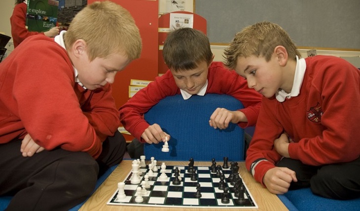 Шахматы - в каждую школу? - фото
