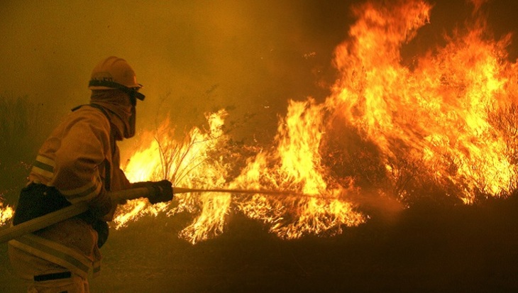 Огненный вал накрыл Калифорнию - фото
