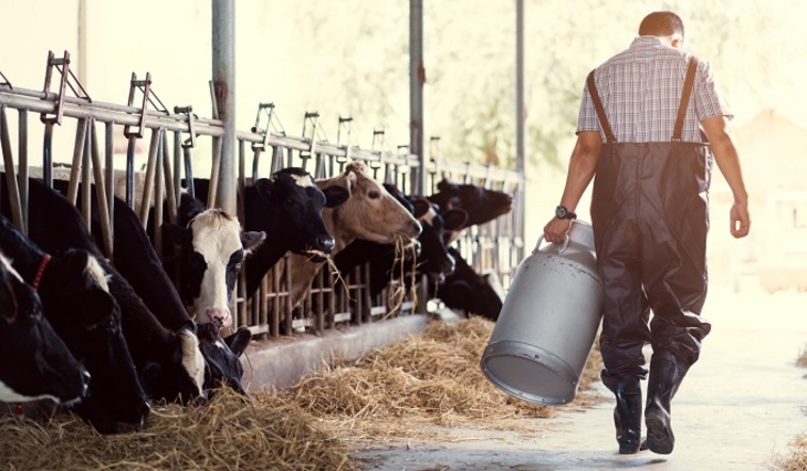 Импорт сухого молока банкротит наших фермеров - фото