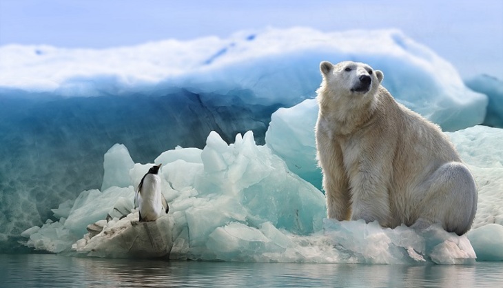 Арктика: угрожающее потепление - фото