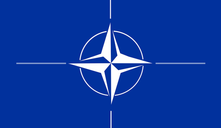 Финляндия присоединилась к маневрам НАТО - фото