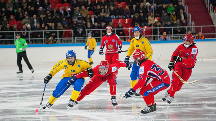 XXXV чемпионат мира по хоккею с мячом в Хабаровске: день 3-й - фото