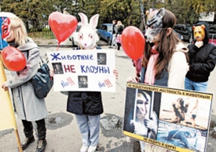 Братья Запашные: «Российский цирк хотят уничтожить!» - фото