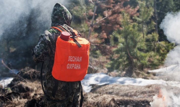Российский лес опять брошен на произвол судьбы - фото